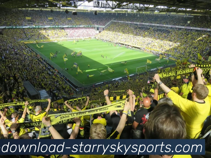 星空体育平台生态图