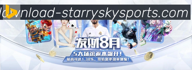 未来规划