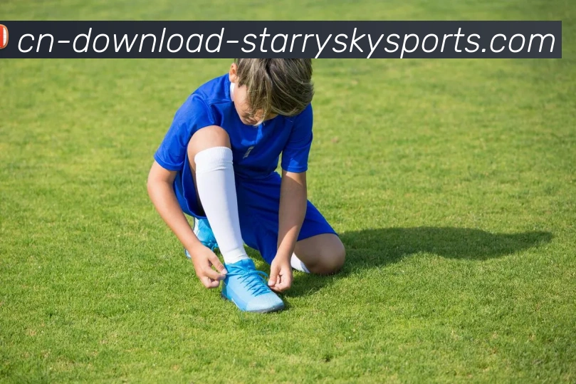 星空体育APP 封面图